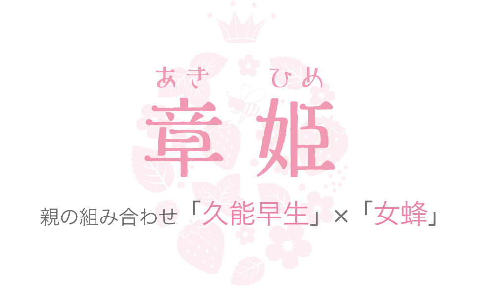 章姫　あきひめ　親の組み合わせ「久能早生」×「女蜂」